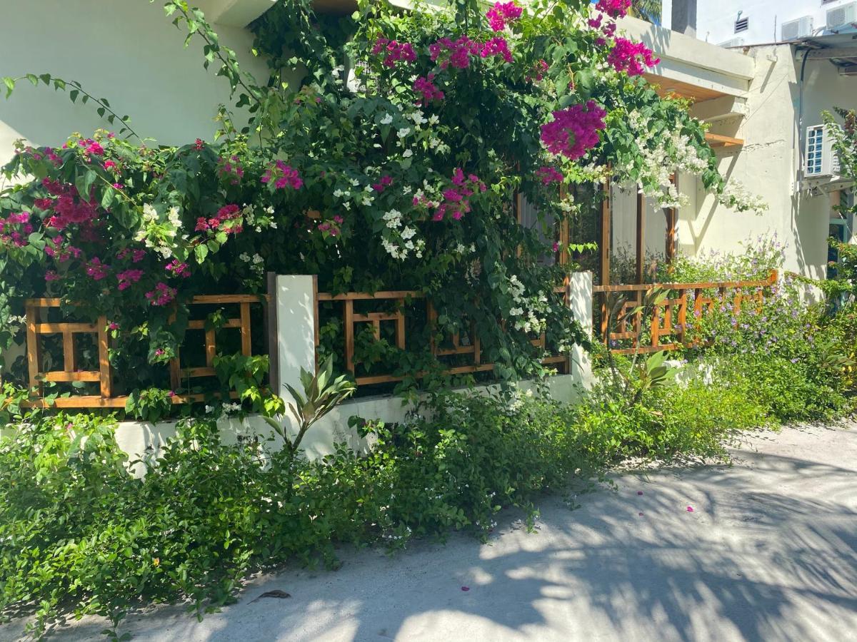 Bougainvillea Inn - Maldives Fulidu Exteriör bild